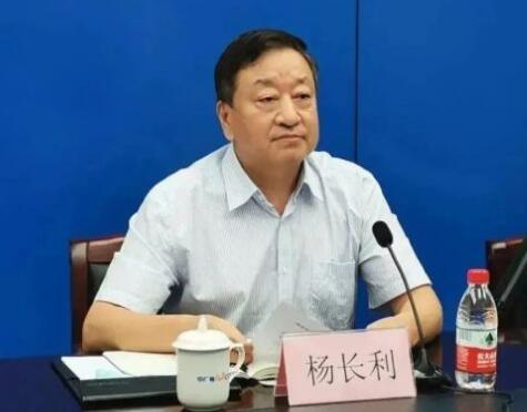 任職總經(jīng)理半年后，楊長利任中廣核董事長