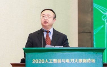 國(guó)家電網(wǎng)有限公司大數(shù)據(jù)中心主任、黨委副書記 王繼業(yè)：激活電力大數(shù)據(jù)價(jià)值 落實(shí)公司碳達(dá)峰碳中和行動(dòng)方案