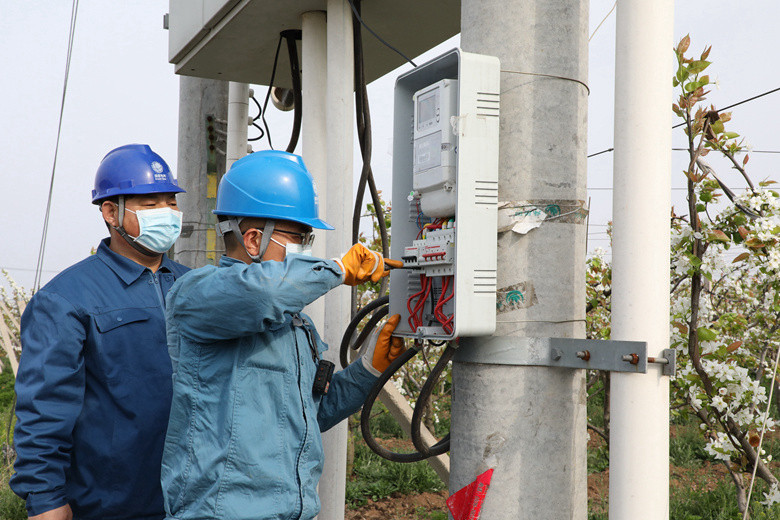 國網諸城市供電公司電力足，千畝梨園花正濃