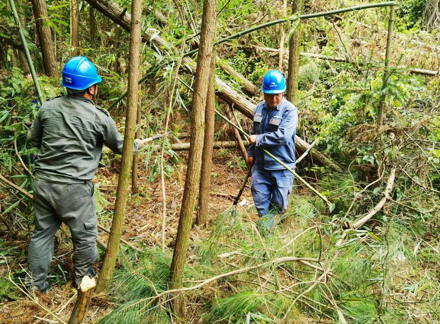 南方電網(wǎng)荔波供電局線路憂患如“猛獸”，通道清通要爭先